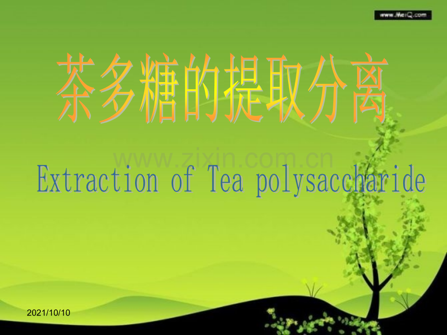 茶多糖的提取分离.ppt_第1页