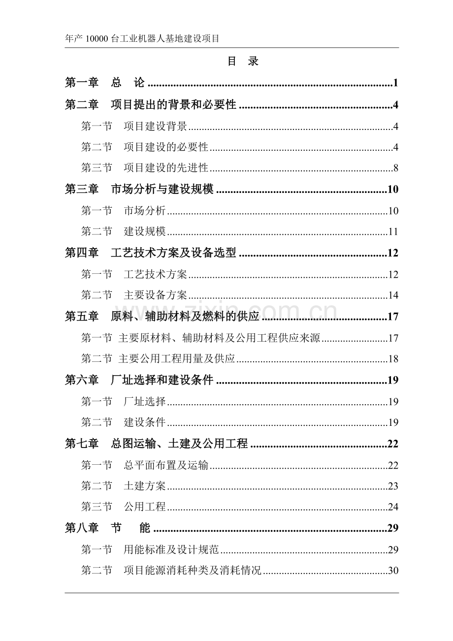 2013可行性研究报告.doc_第1页