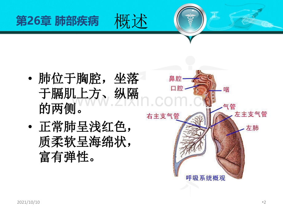 外科学-肺部疾病课件.ppt_第2页