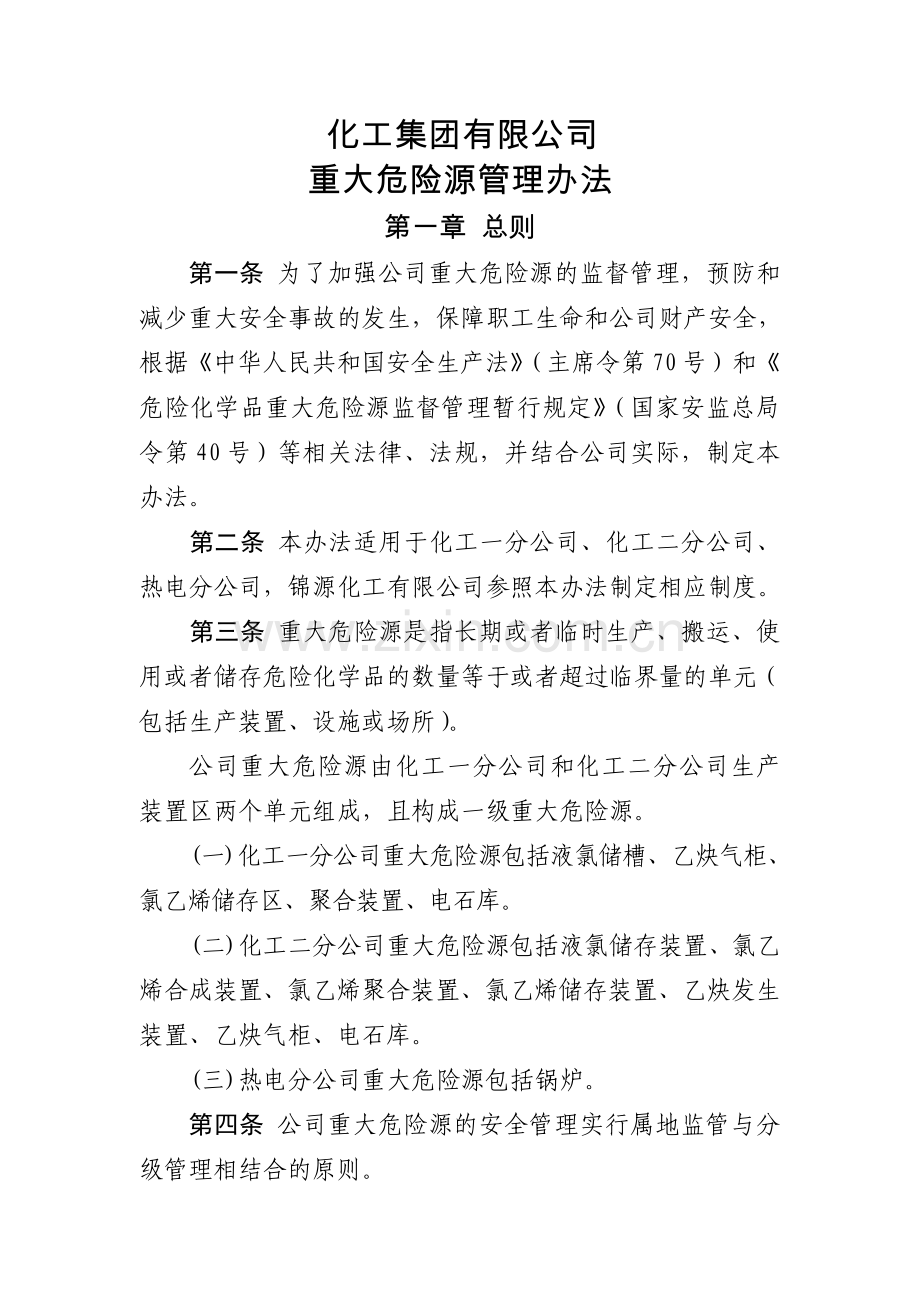 化工集团公司重大危险源管理办法-(2)模版.docx_第1页