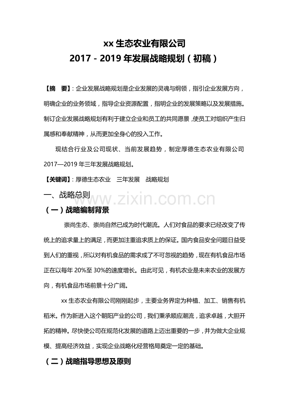 新组建农业公司三年战略规划.doc_第3页