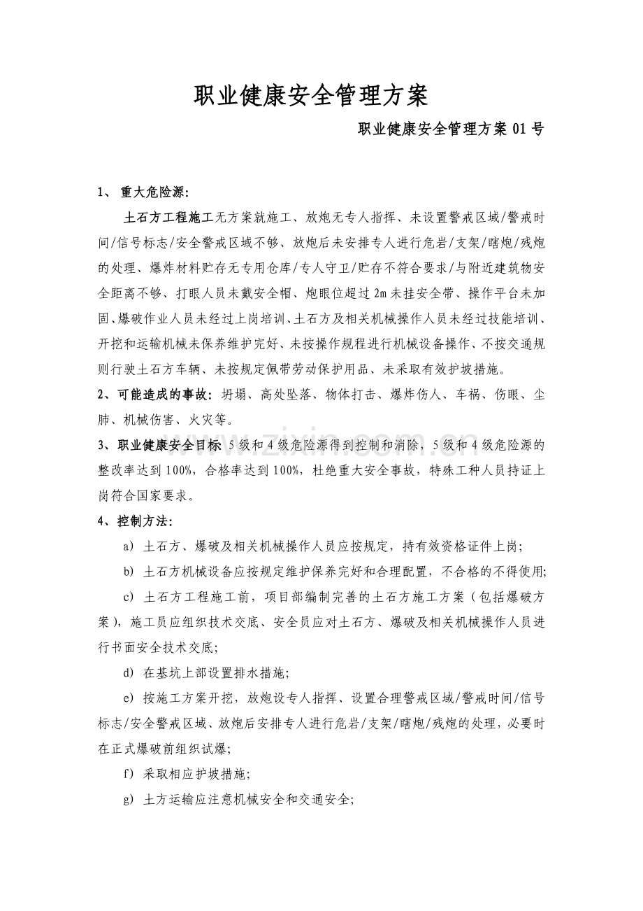 职业健康安全管理方案.doc_第1页