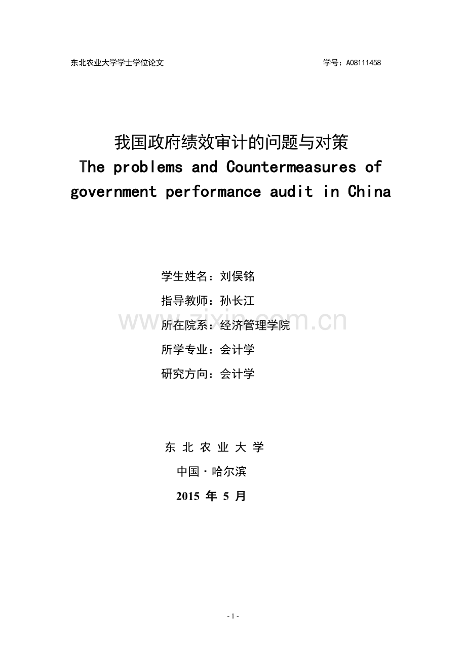 我国政府绩效审计的问题与对策.doc_第1页