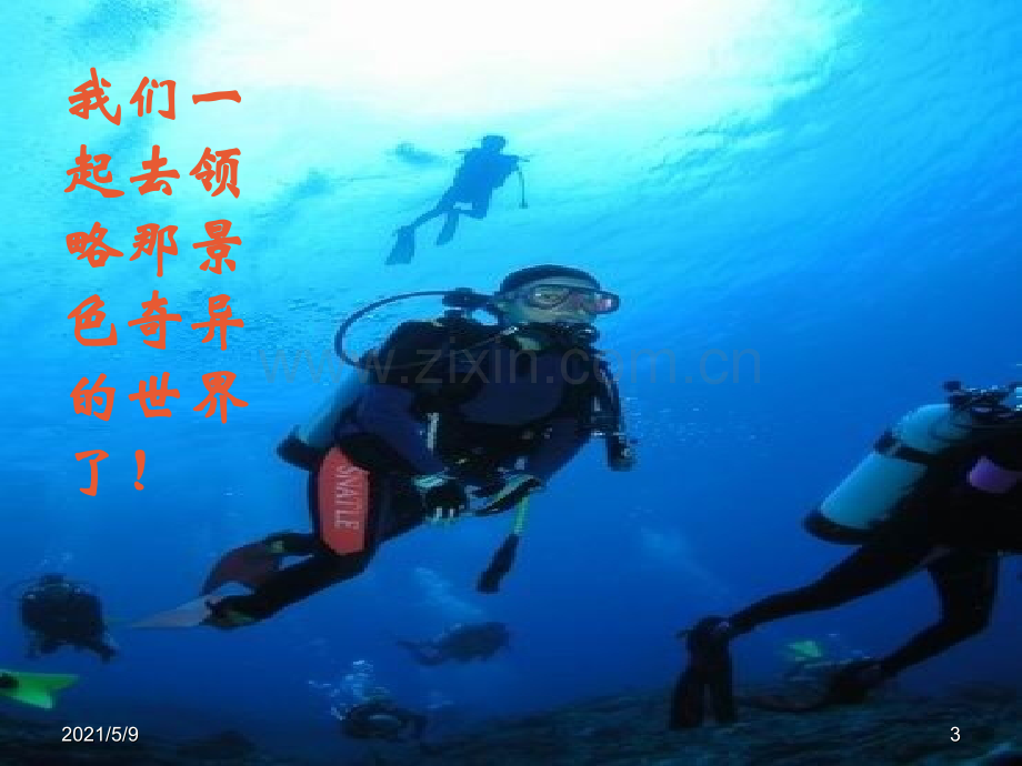 三年级语文海底世界.ppt_第3页