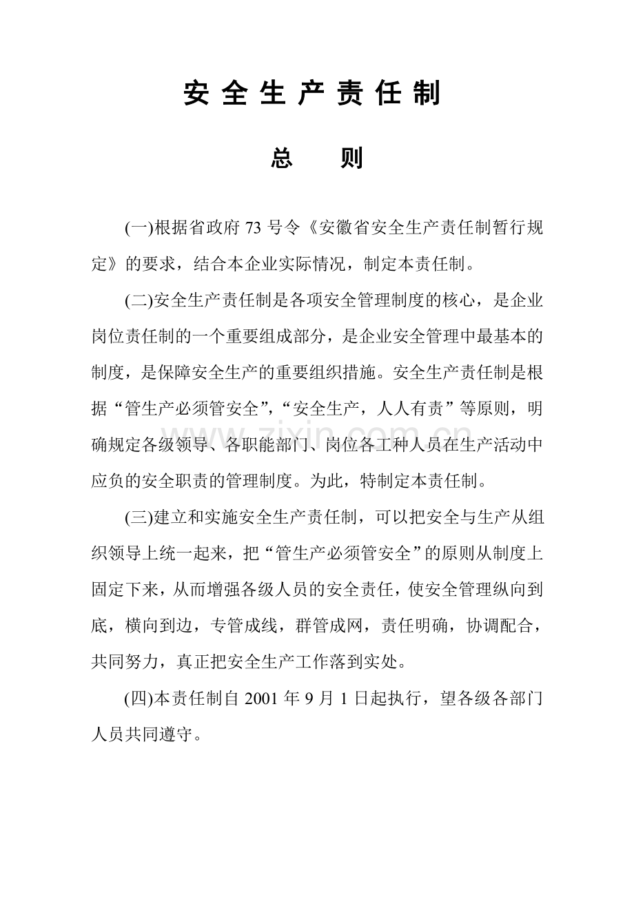 安全生产责任制(总则、各级、各部门).doc_第2页