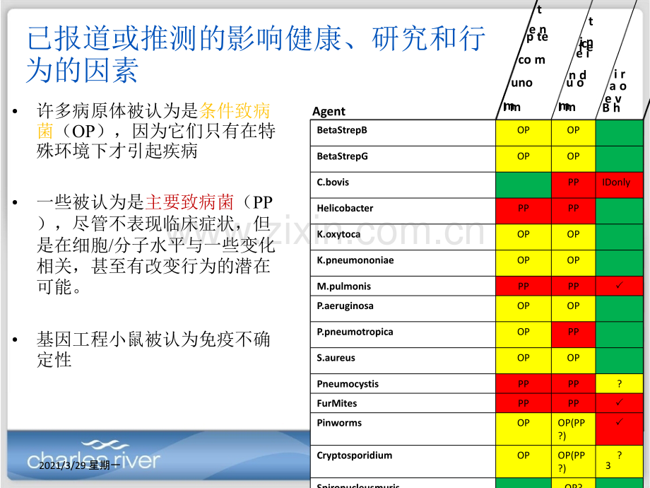 5.-实验小鼠的传染性疾病.ppt_第3页