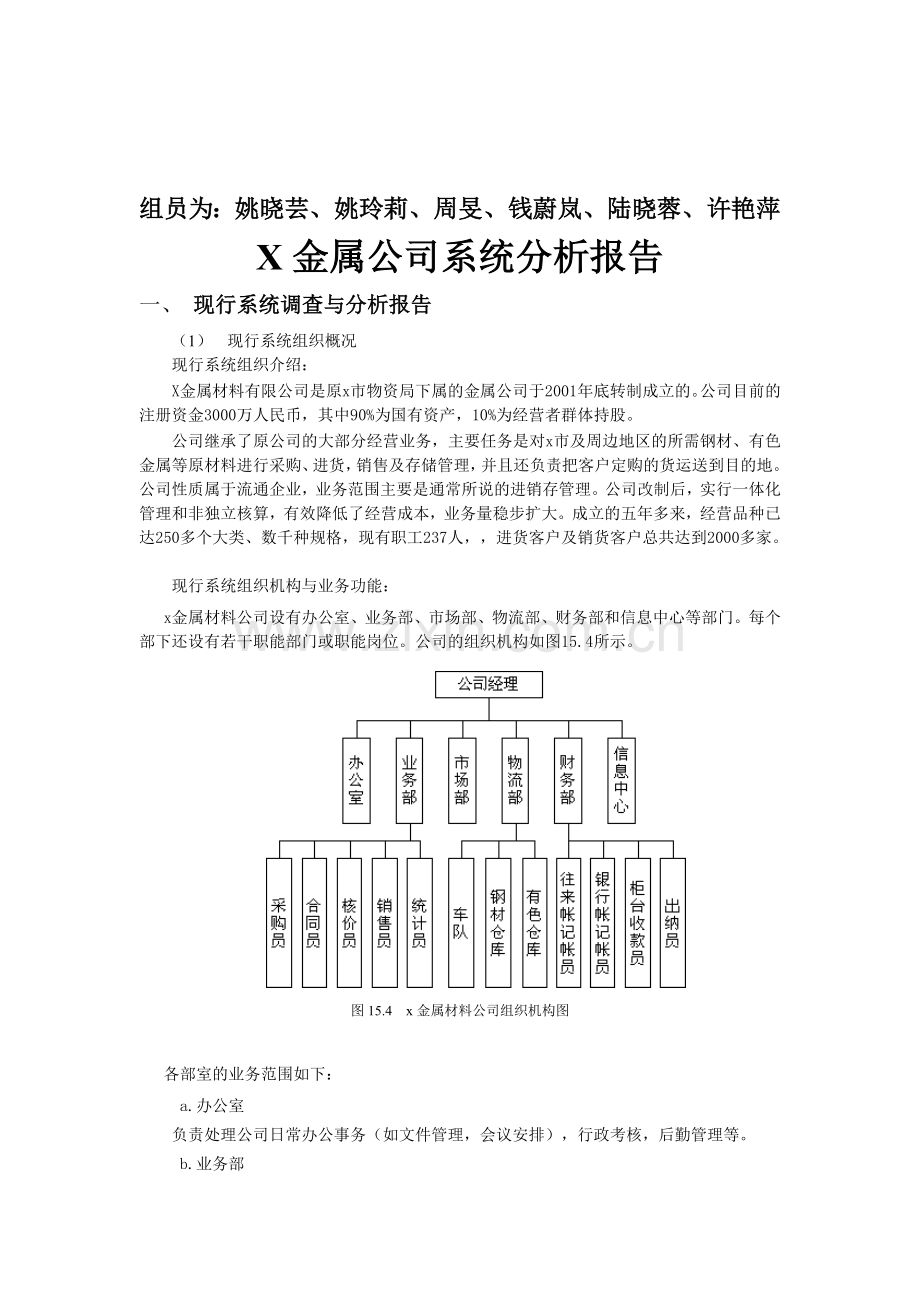 X金属公司系统分析报告.doc_第1页