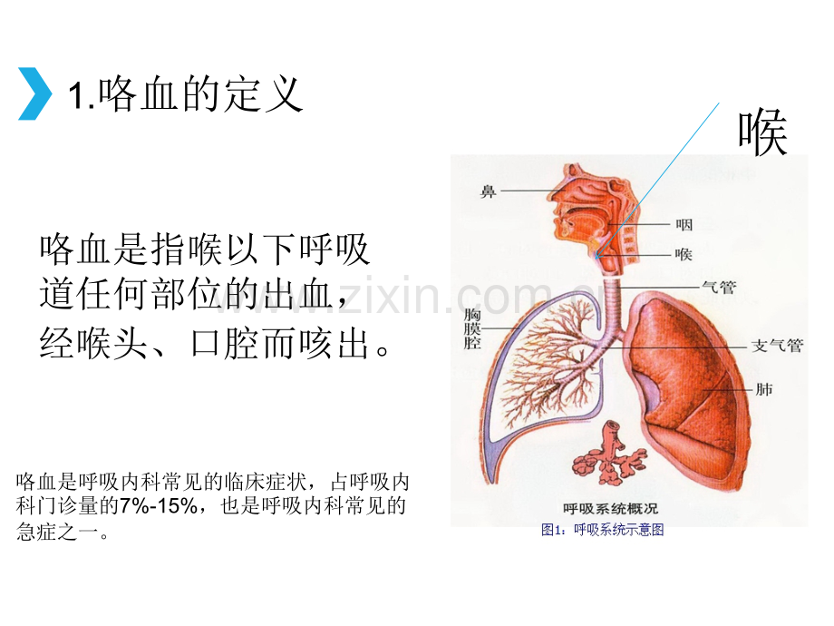 咯血的原因及对策.ppt_第3页