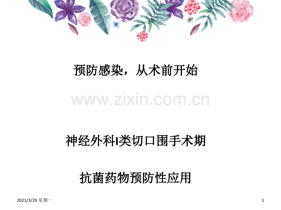 神经外科I类切口围手术期抗菌药物预防性应用---副本.ppt_第1页