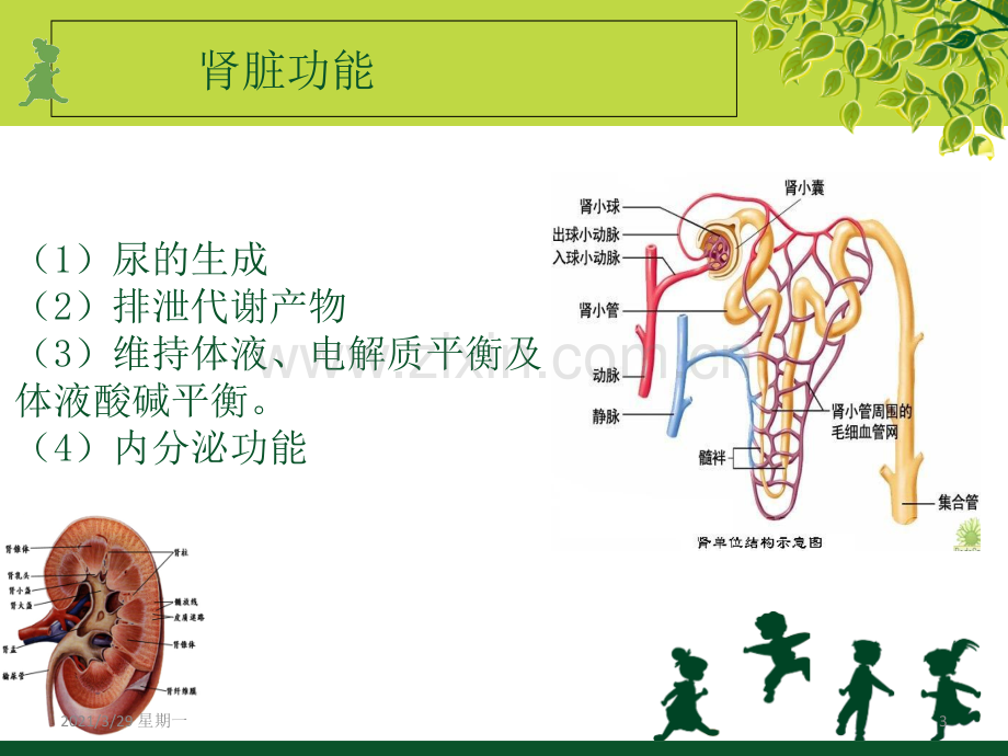 CRRT的护理课件.ppt_第3页