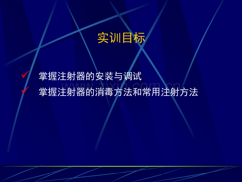 注射器使用及注射方法.ppt_第2页