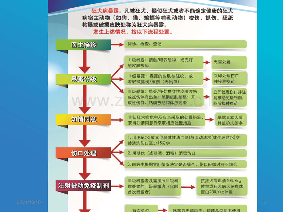 狂犬病暴露后预防处置工作规范(1).ppt_第3页