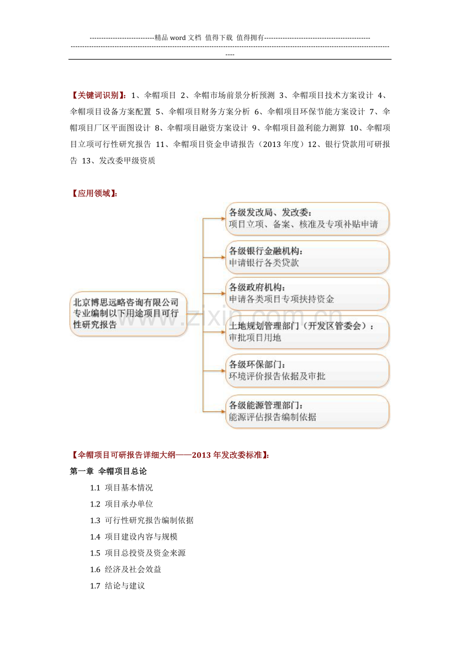 如何设计伞帽项目可行性研究报告(技术工艺-设备选型-财务概算-厂区规划)方案.docx_第2页