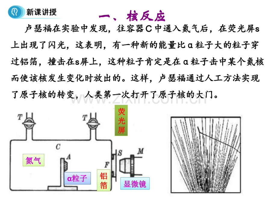 19.4-放射性的应用与防护.ppt_第2页