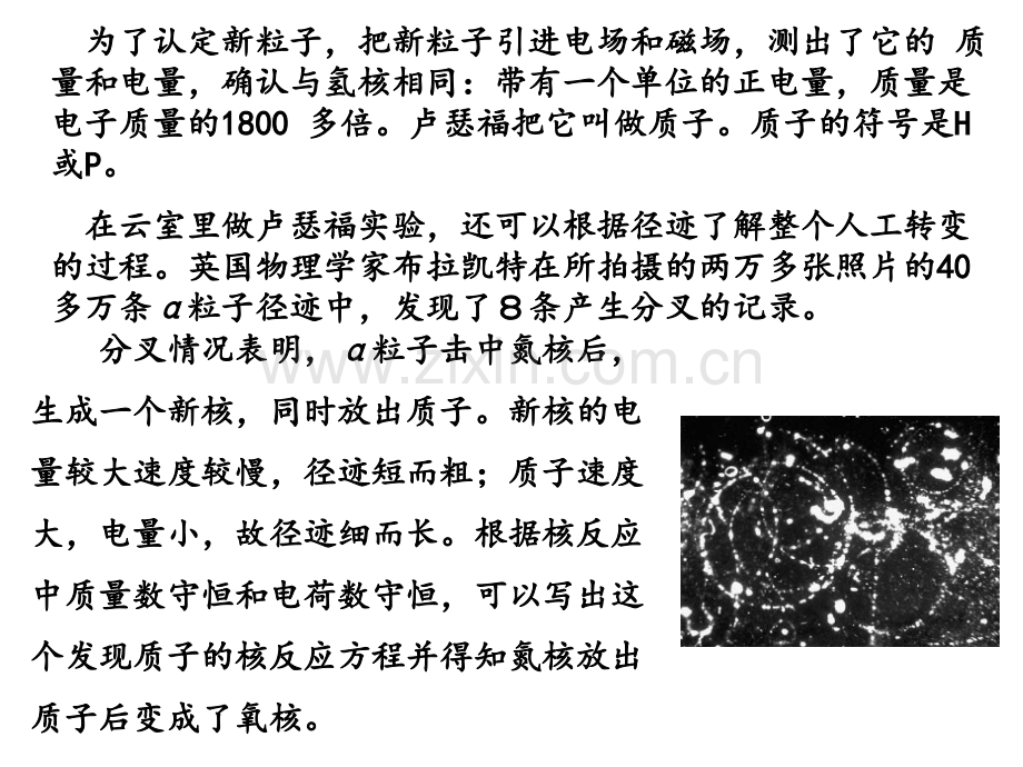 19.4-放射性的应用与防护.ppt_第3页