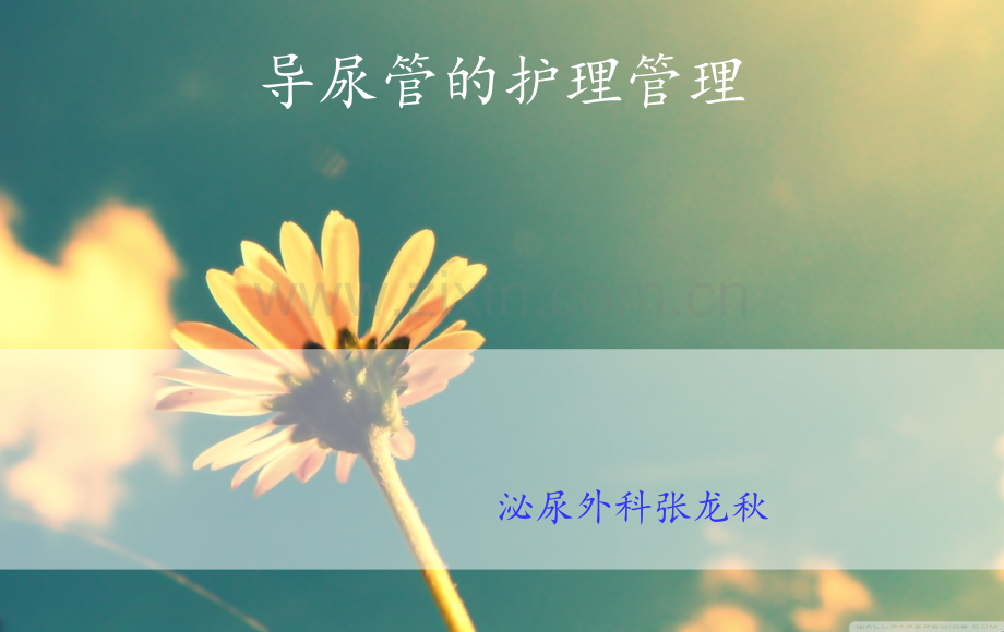 导尿管的护理管理.ppt_第1页