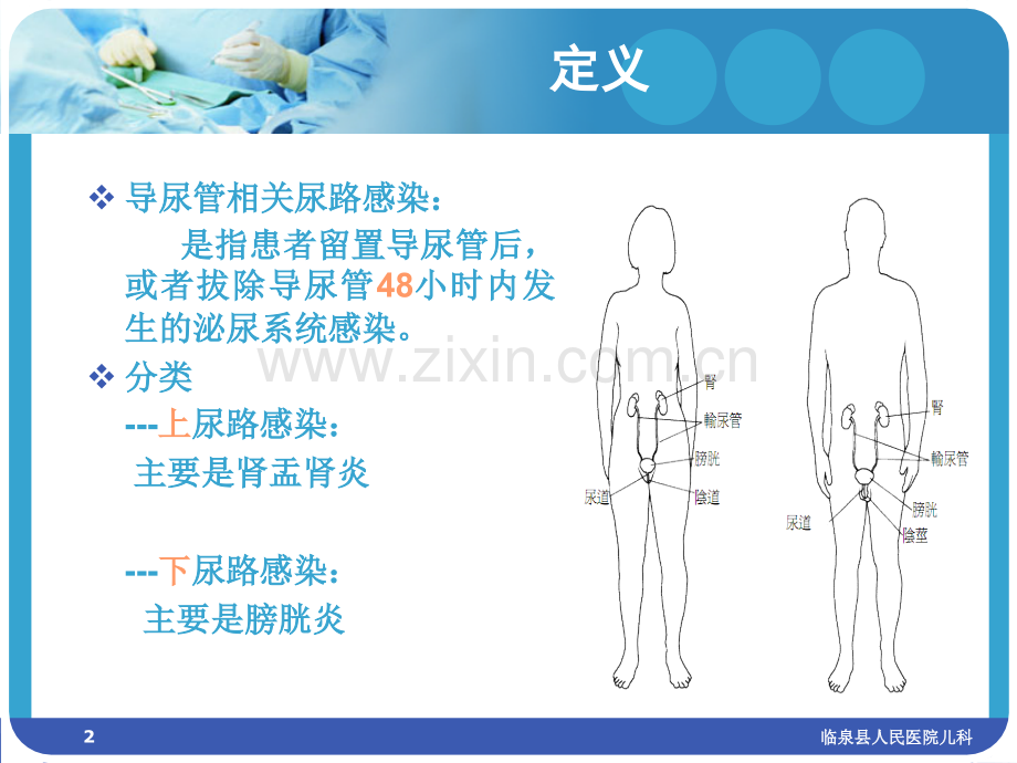 导尿管相关尿路感染预防与控制.ppt_第2页