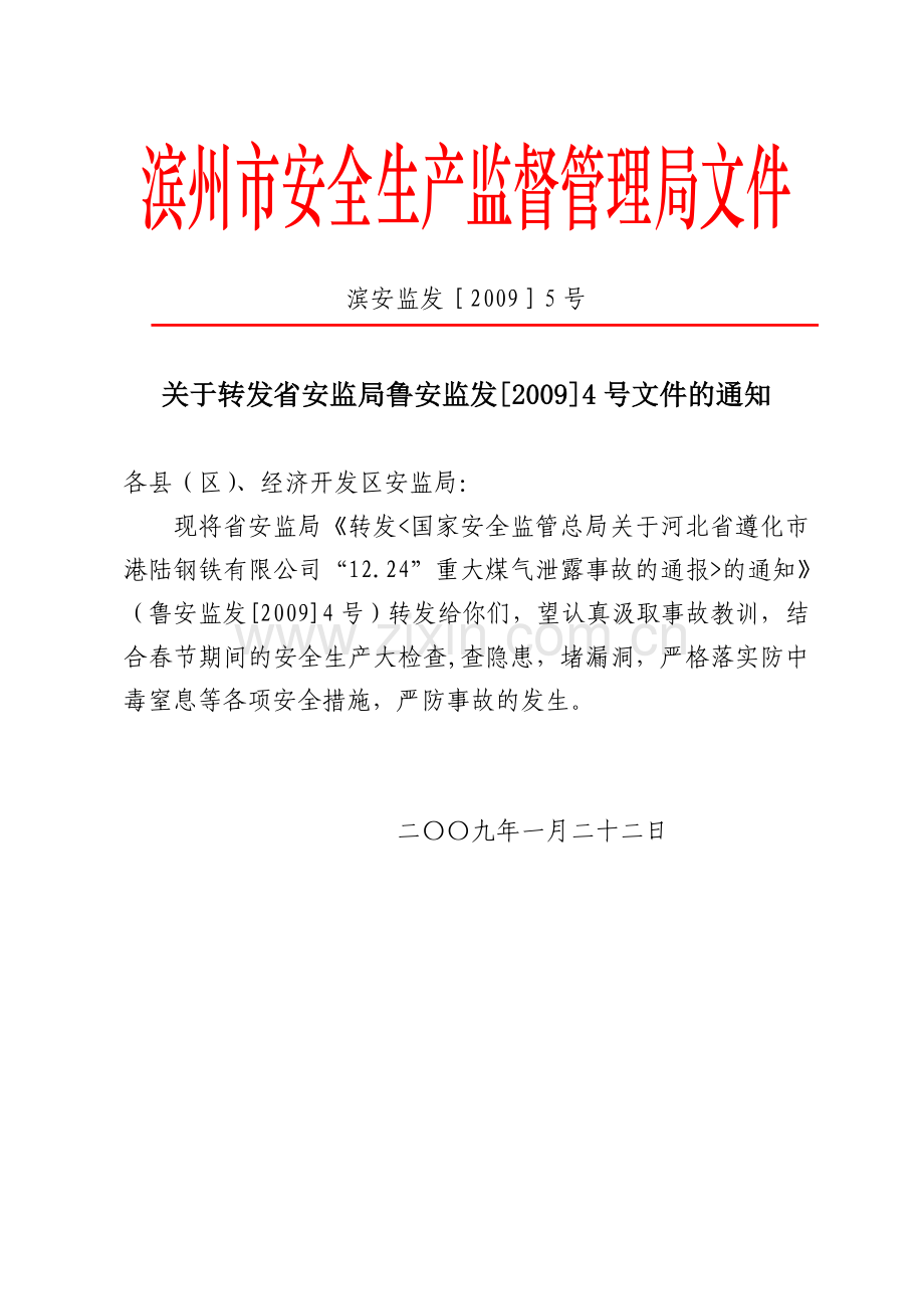 滨州市安全生产监督管理局文件.doc_第1页