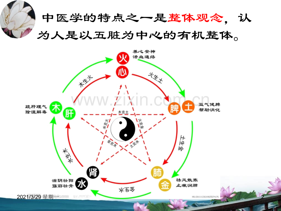 中医基础理论之五脏六腑.ppt_第2页