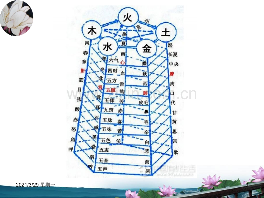 中医基础理论之五脏六腑.ppt_第3页