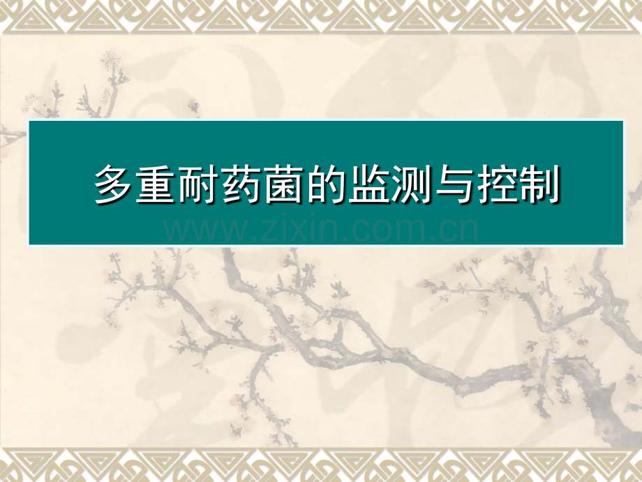 多重耐药课件.ppt_第1页