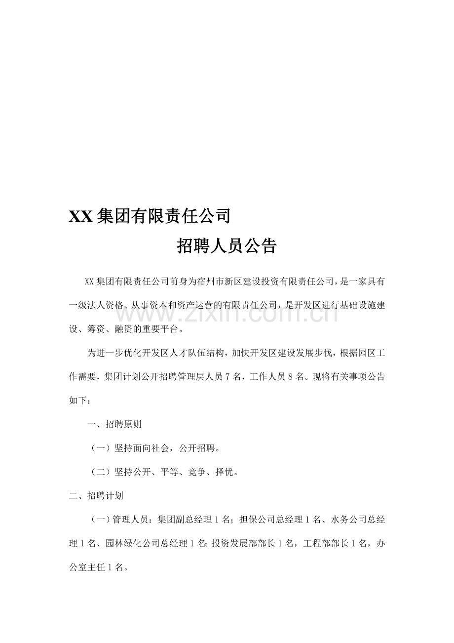 公司招聘公告.doc_第1页