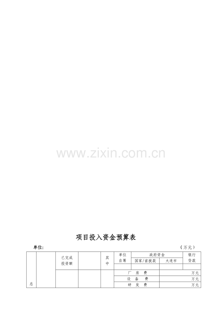 项目投入资金预算表.doc_第1页