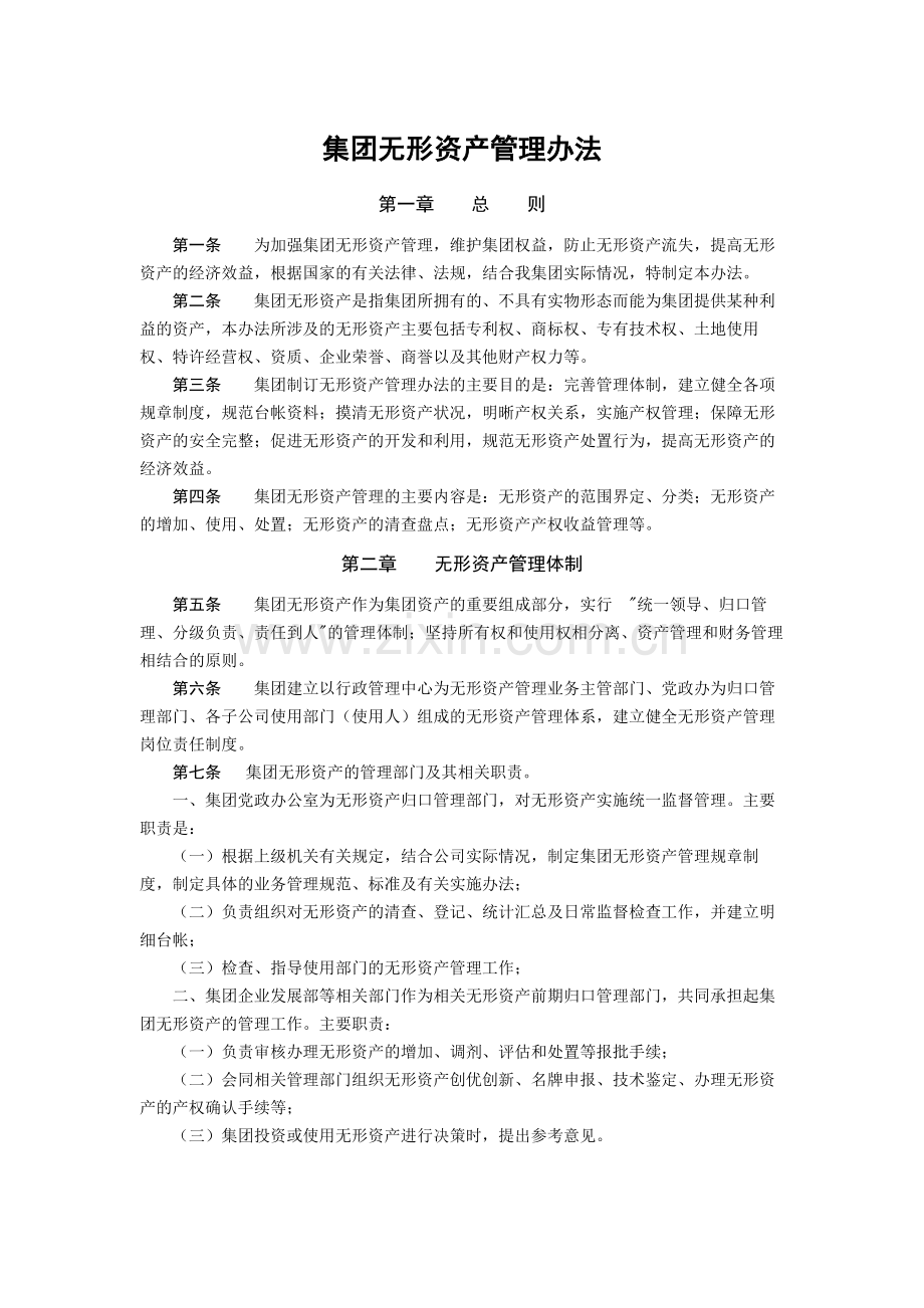 集团无形资产管理办法模版.docx_第1页