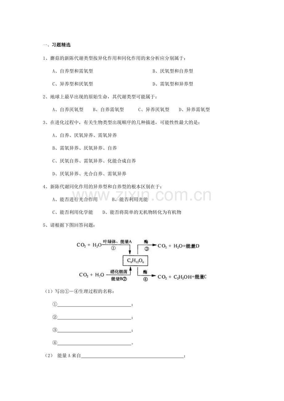 高三生物知识点专项复习题19.doc_第1页