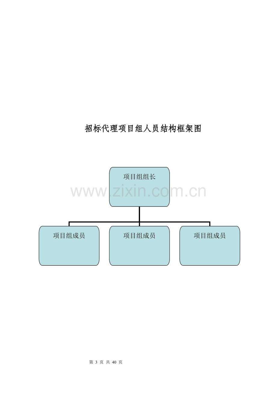 招标代理工作服务实施方案细则.doc_第3页