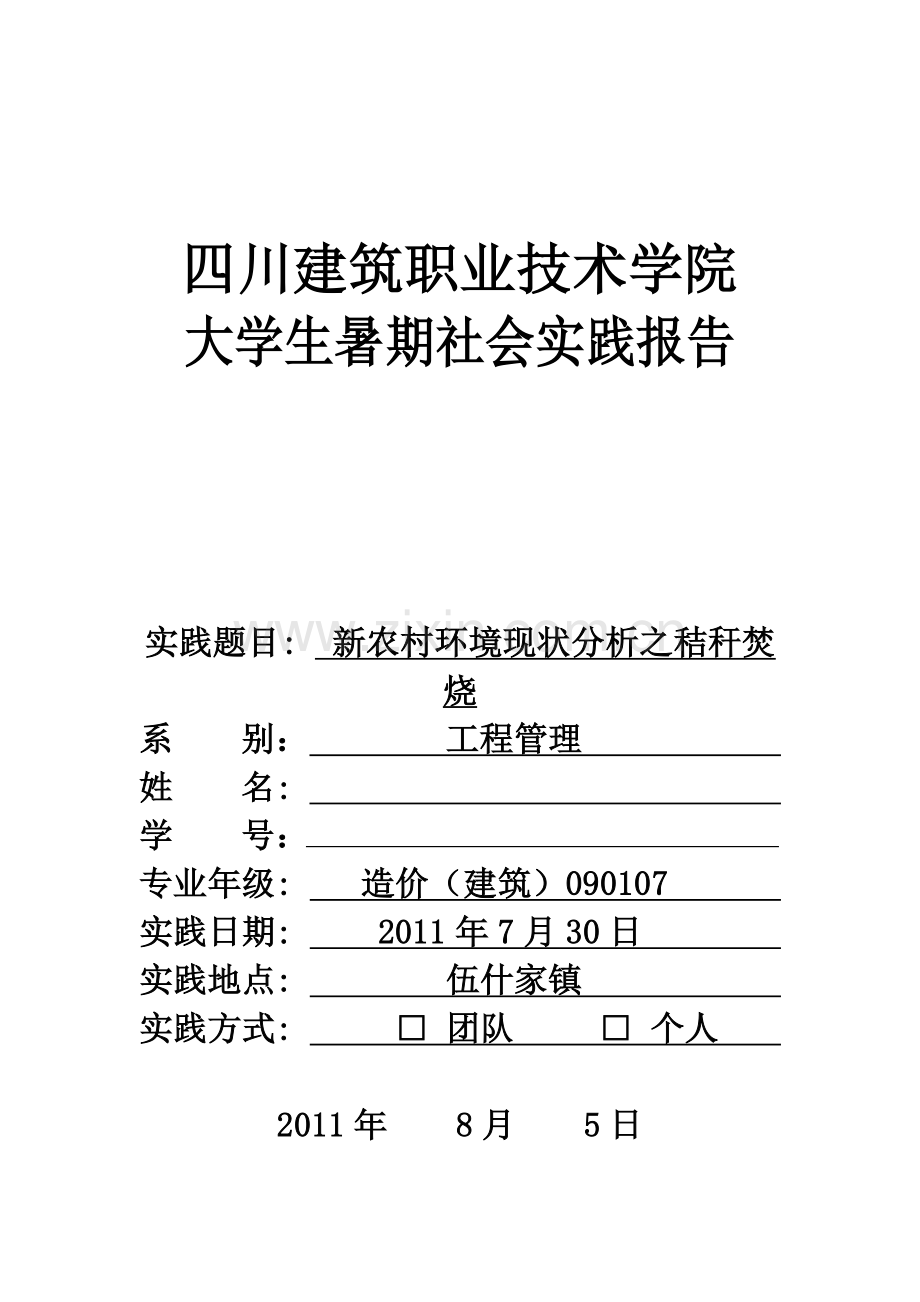 新农村环境现状分析之秸秆焚烧调查报告.doc_第1页