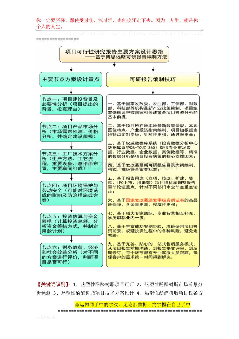 如何设计热塑性酚醛树脂项目可行性研究报告(技术工艺-设备选型-财务概算-厂区规划)标准方案.docx_第2页