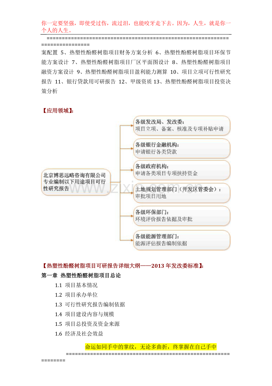 如何设计热塑性酚醛树脂项目可行性研究报告(技术工艺-设备选型-财务概算-厂区规划)标准方案.docx_第3页