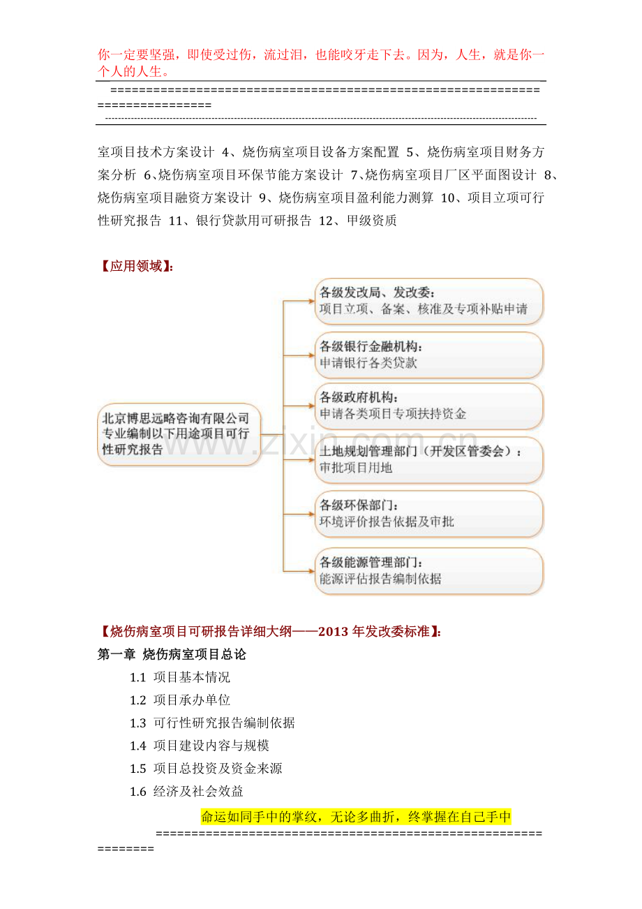 烧伤病室项目可行性研究报告(技术工艺-设备选型-财务概算-厂区规划)方案设计.docx_第3页