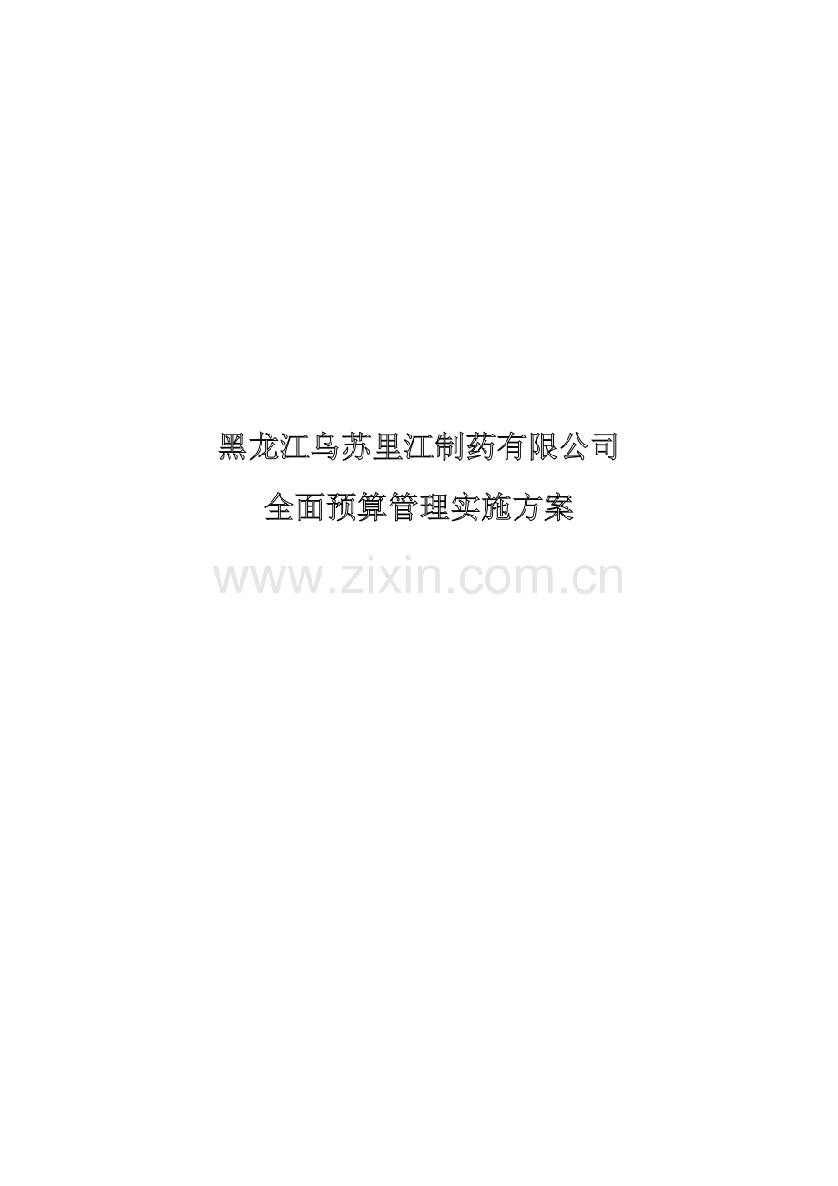 全面预算管理实施方案.doc_第1页