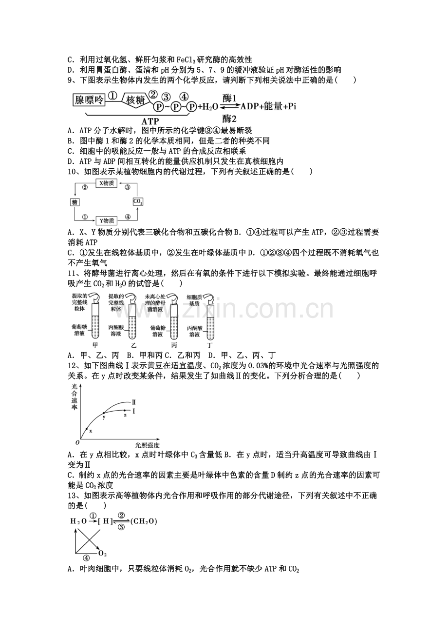 河北省衡水2016届高三生物上册期中试题.doc_第2页