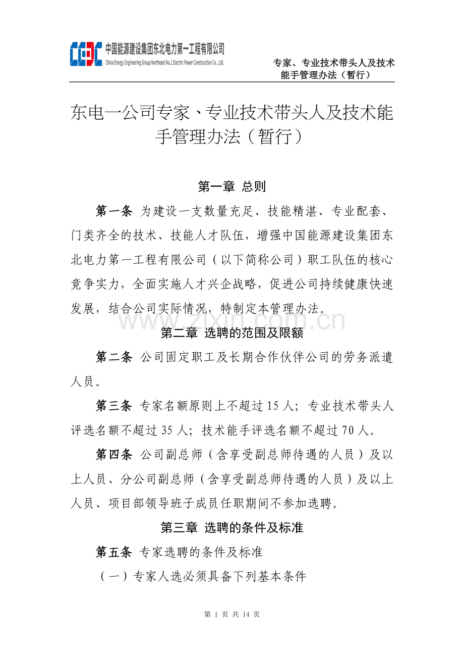 东电一公司专家、专业技术带头人及技术能手管理办法(暂行).doc_第1页