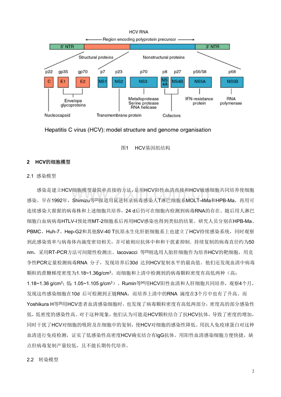 丙型肝炎病毒细胞和动物模型的研究进展.doc_第2页