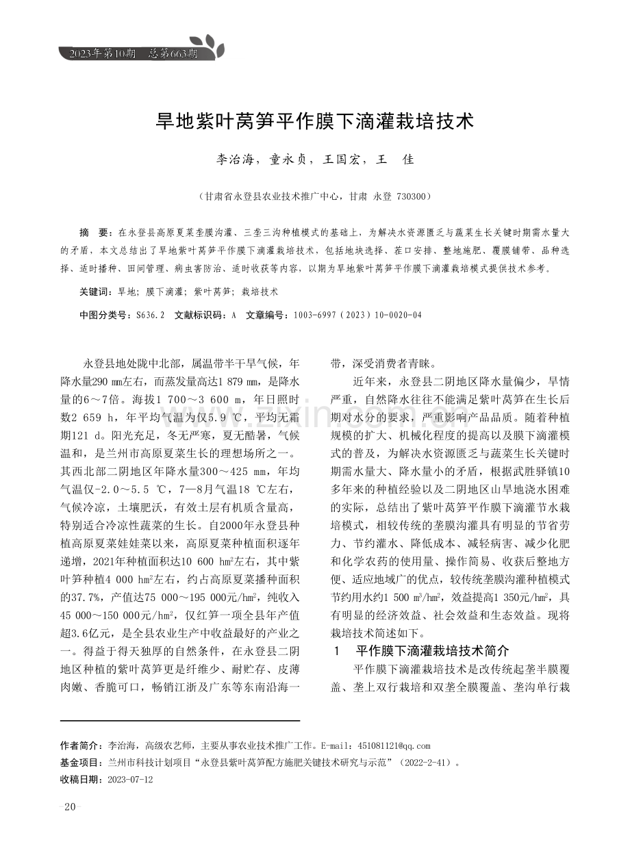 旱地紫叶莴笋平作膜下滴灌栽培技术.pdf_第1页