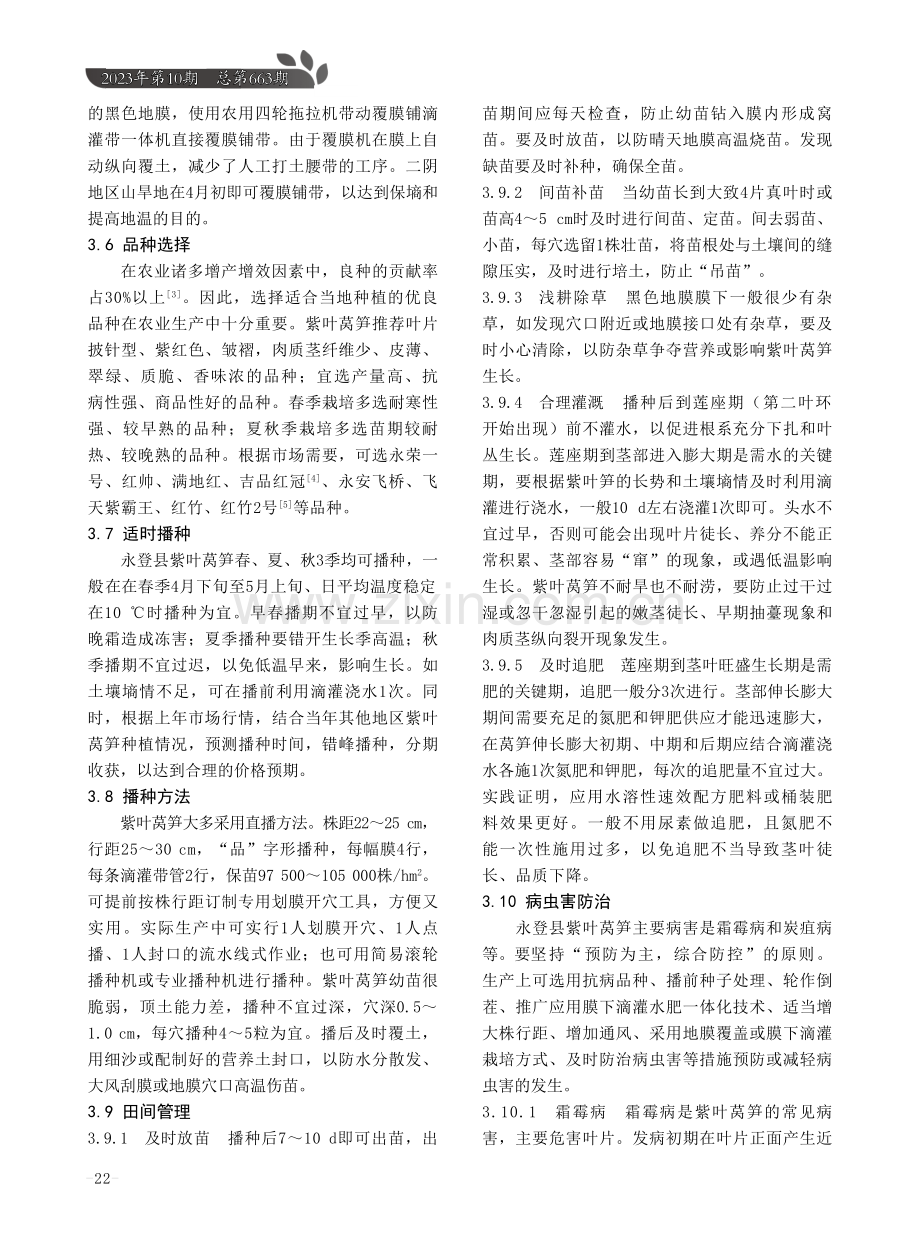 旱地紫叶莴笋平作膜下滴灌栽培技术.pdf_第3页