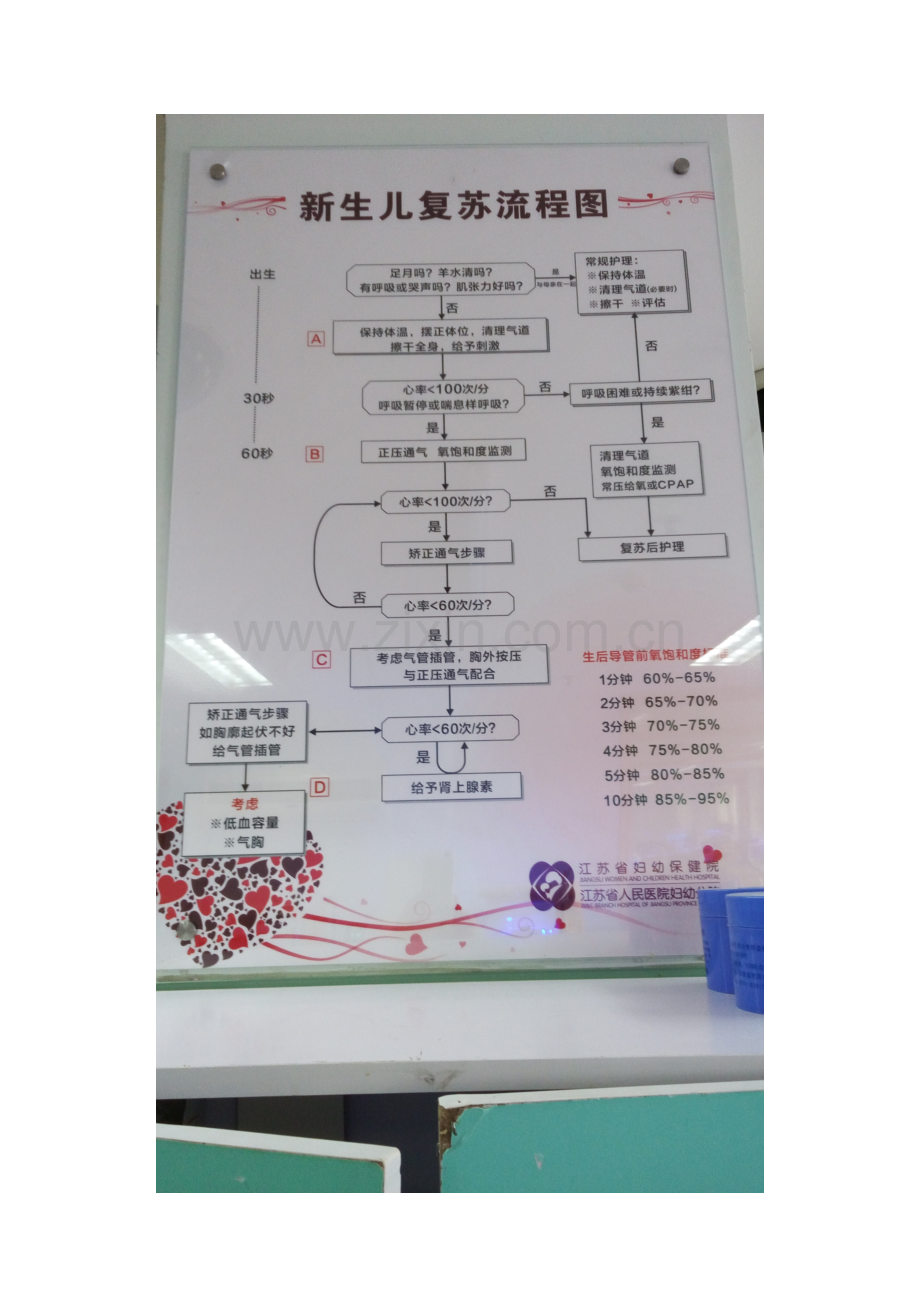 儿科上墙制度.doc_第3页