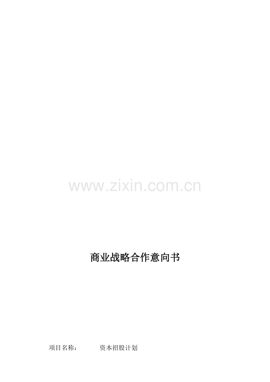 2013年商业计划书.doc_第1页