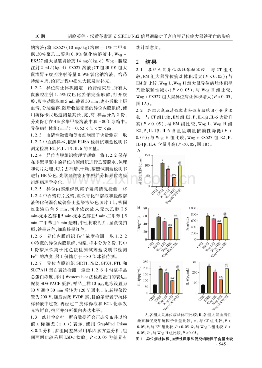 汉黄芩素调节SIRT1_Nrf2信号通路对子宫内膜异位症大鼠铁死亡的影响.pdf_第3页