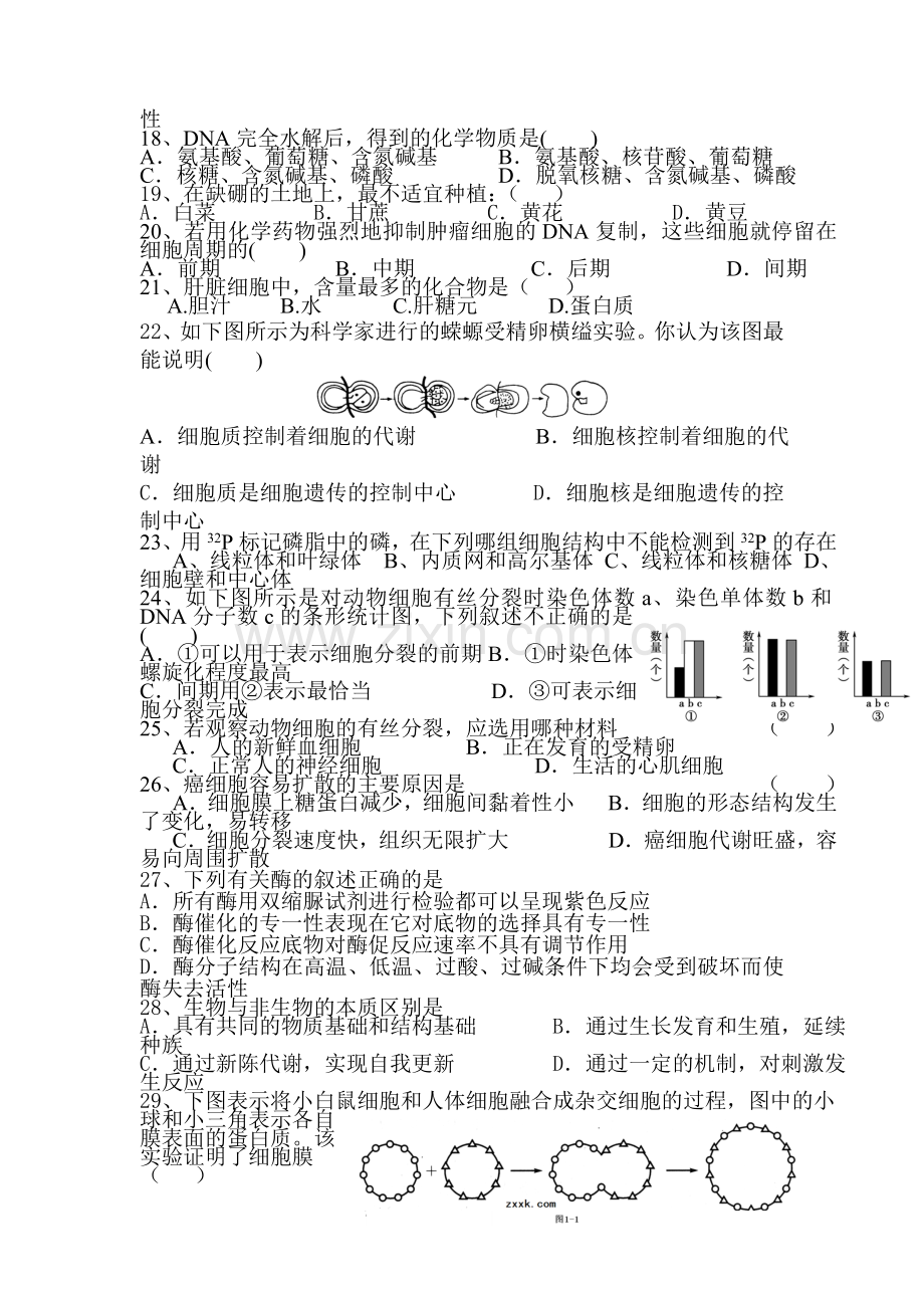 高二生物下册期中考试试题3.doc_第3页