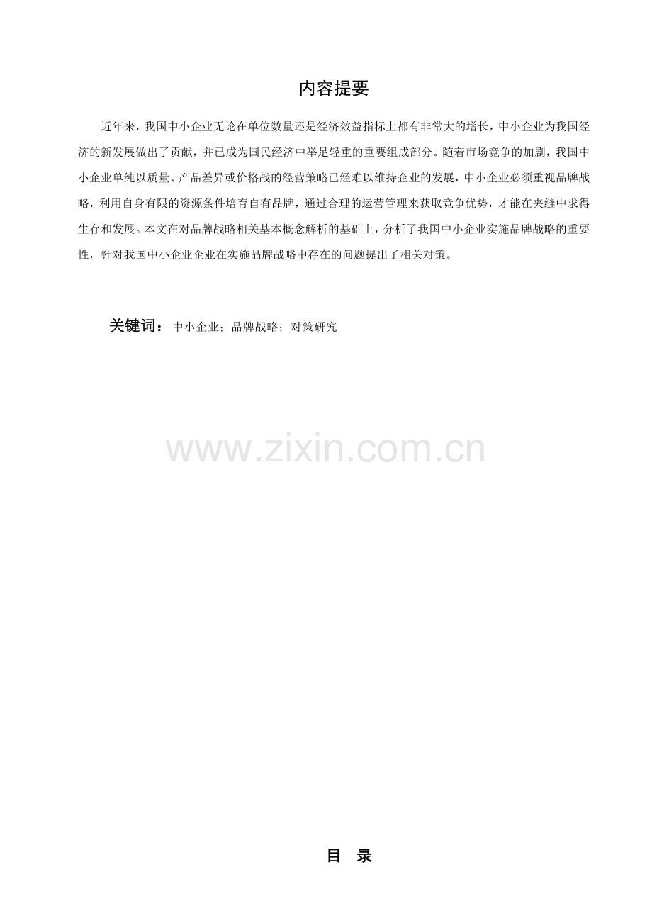 我国中小企业实施品牌战略存在的问题及对策分析.doc_第3页