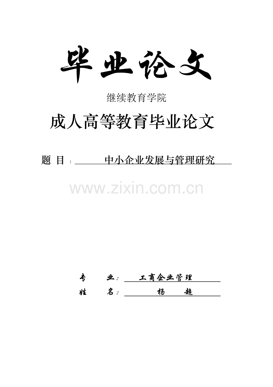 中小企业发展与管理研究.doc_第2页