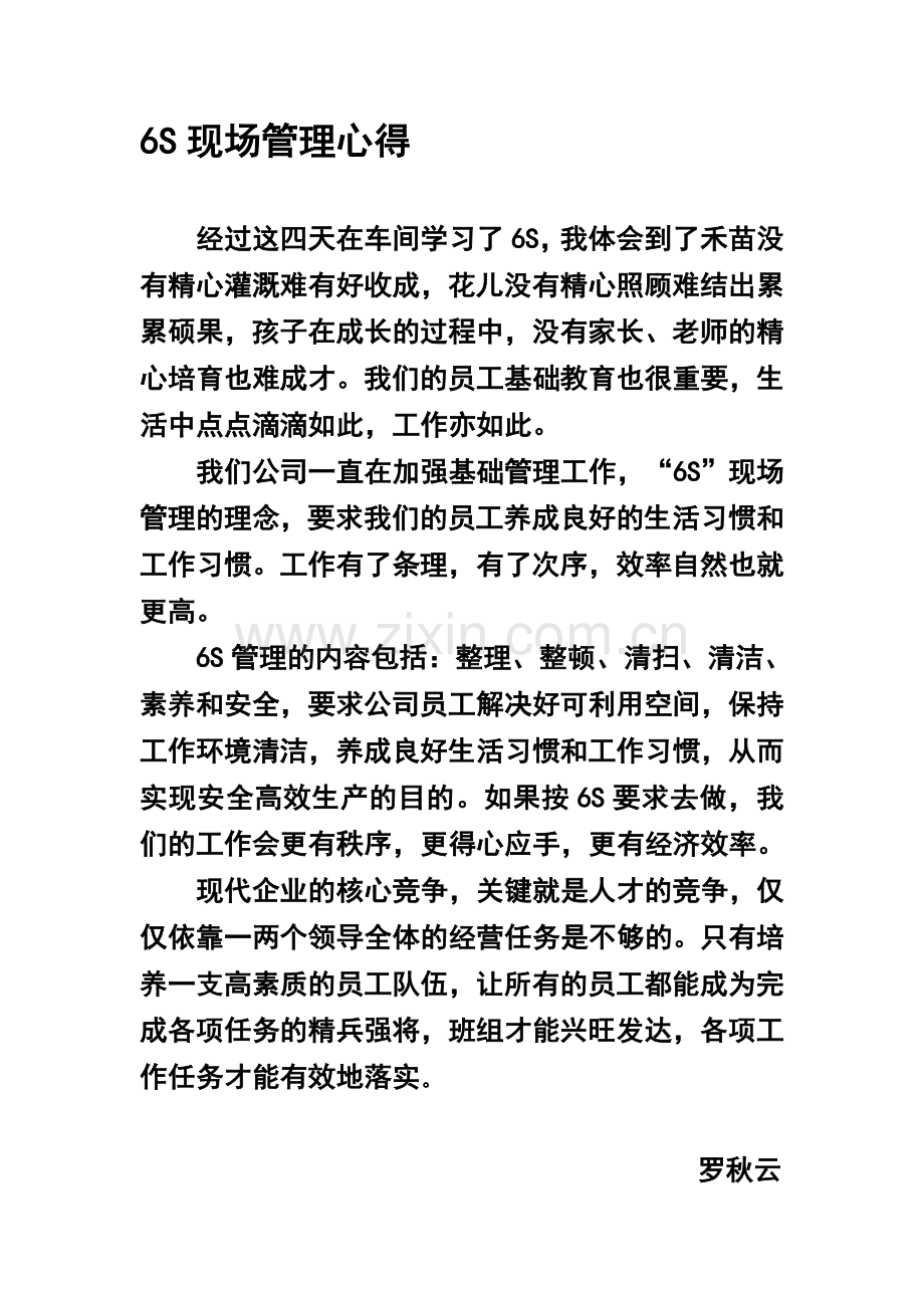 6S现场管理心得.doc_第1页