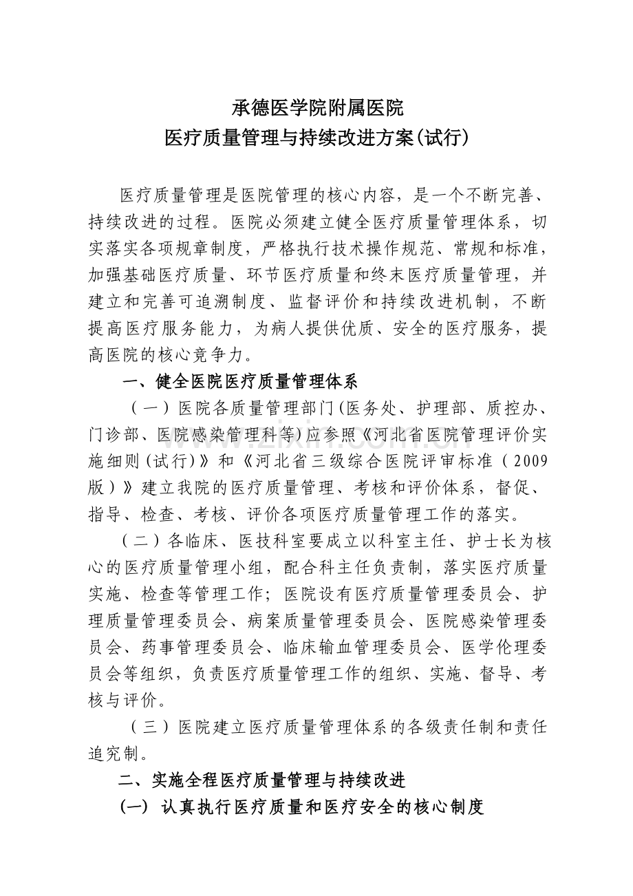 41号医疗质量管理与持续改进方案(试行).doc_第2页