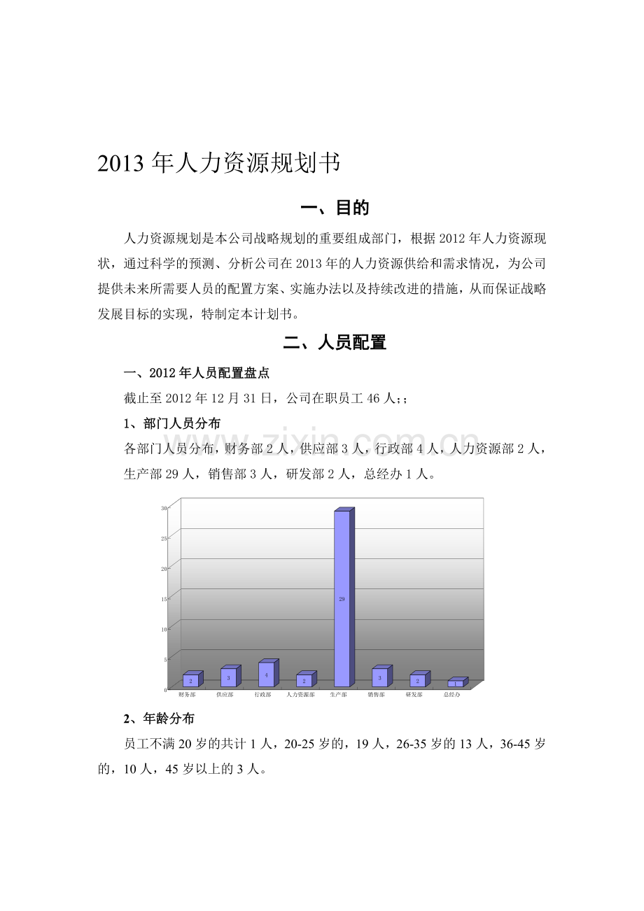 2013年人力资源部规划.doc_第1页