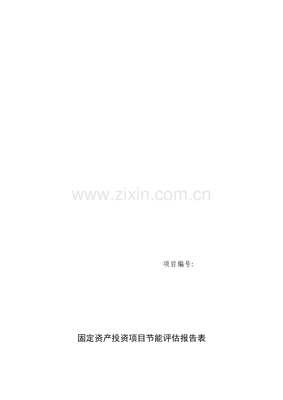 XXXXX房地产能评报告表.doc_第1页